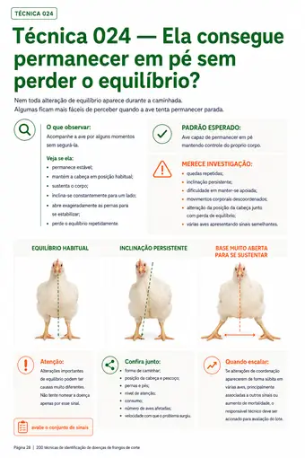 Página do material — Técnica 024