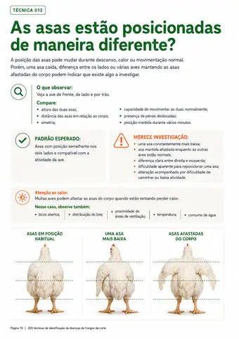 Página do material — Técnica 012