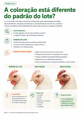 Página do material — Técnica 011