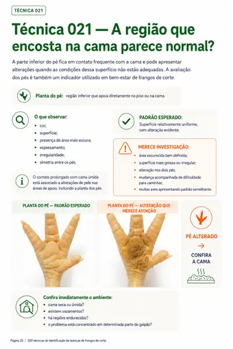 Página do material — Técnica 021